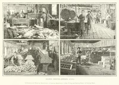 Salmon Canning, Oregon, USA av English School