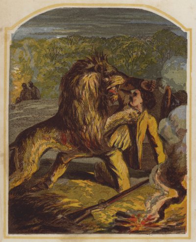Den skotske missionären David Livingstone attackeras av ett lejon i Afrika (chromolitho) av English School