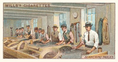 Sökning av tabeller (chromolitho) av English School