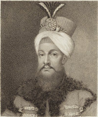 Selim II av English School