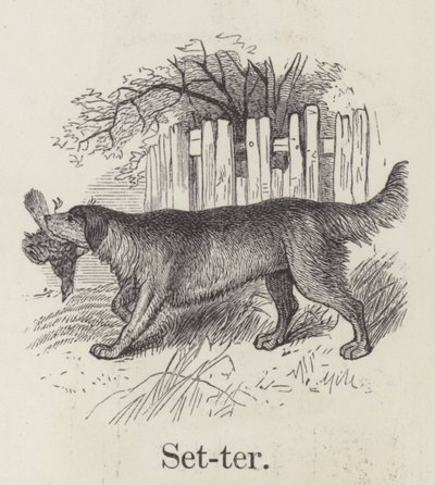 Setter (gravyr) av English School