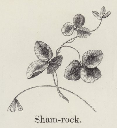 Shamrock (gravyr) av English School