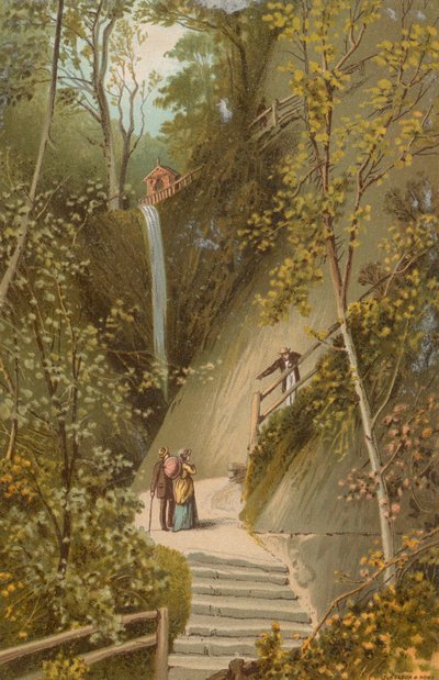 Shanklin Chine - Isle of Wight av English School
