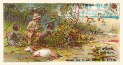 Fotografering av svartbock i Indien (chromolitho) av English School