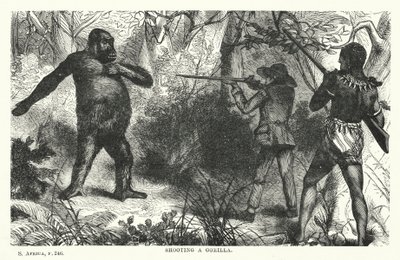 Att skjuta en gorilla (gravyr) av English School