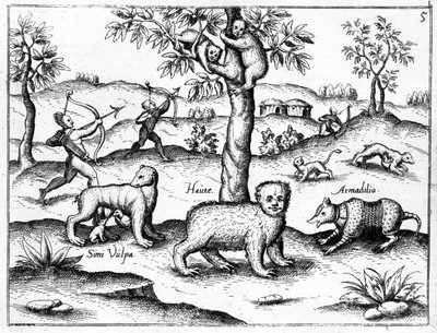 Simi Vulpa, Haute och Armadilio, illustration från "The Discovery of Guiana" av Sir Walter Raleigh, publicerad omkring 1599. av English School