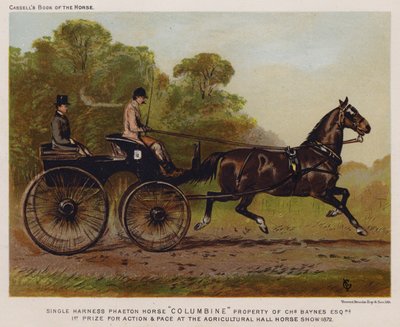 Singelsele Phaeton Horse "Columbine", egendom av Charles Baynes Esq av English School