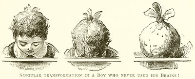 Singular transformation i en pojke som aldrig använde sina hjärnor! av English School