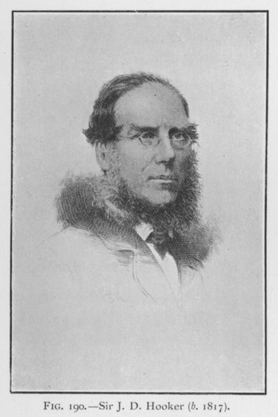 Sir Joseph Dalton Hooker (1817-1911), porträtt (litho) av English School