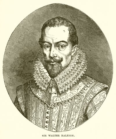 Sir Walter Raleigh av English School