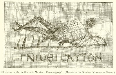 Skelett, med den sokratiska maximen: Känn dig själv. (Mosaik i Kircher-museet i Rom) av English School