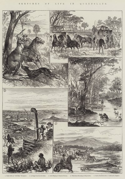 Sketches of Life in Queensland (gravyr) av English School