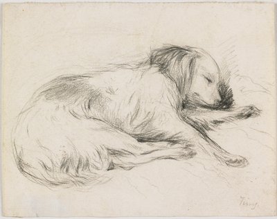 Sleeping Dog, ca 1840 (grafit på papper) av English School