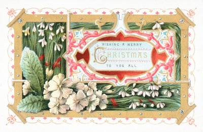 Snödroppar och blommor, julkort av English School