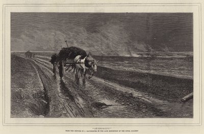 Spindrift (gravyr) av English School