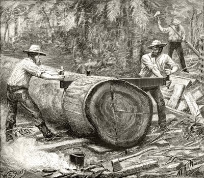 Splitters in the Bush, ca 1880, från "Australian Pictures" av Howard Willoughby, utgiven av Religious Tract Society, London, 1886. av English School
