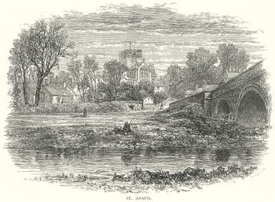 St Asaph (gravyr) av English School