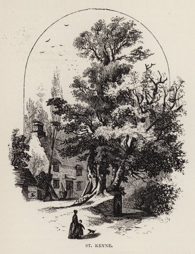 St Keyne (gravyr) av English School