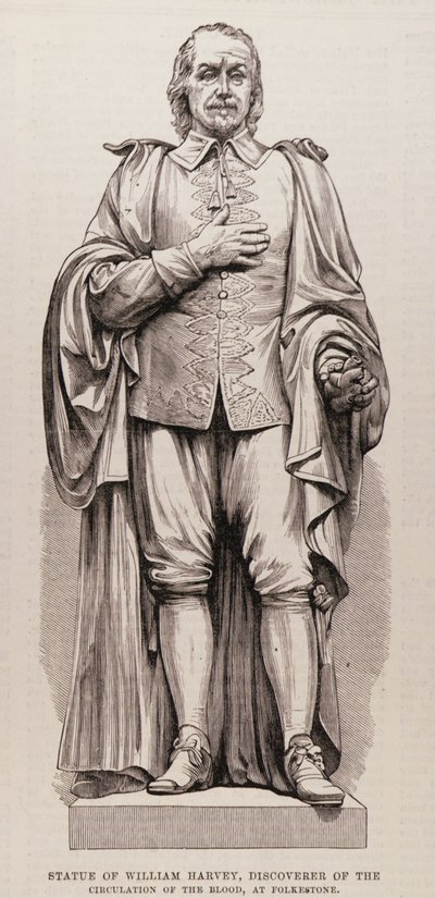 Staty av William Harvey (1578-1657), Discoverer of the Circulation of the Blood, vid Folkestone, från The Illustrated London News, 13 augusti 1881 av English School
