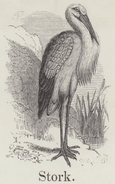 Stork (gravyr) av English School