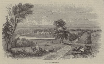 Strathfieldsaye av English School