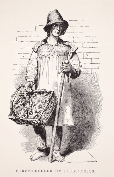Gatusäljare av fågelbon, illustration från London Labor och London Poor av Henry Mayhew, pub. 1862 av English School