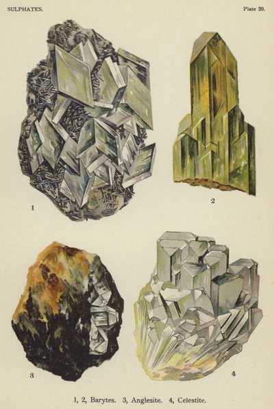 Sulfater, baryter, anglesite, celestite (färg litho) av English School