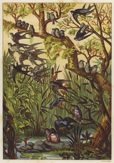 Sommarkväll med fåglar (färg litho) av English School