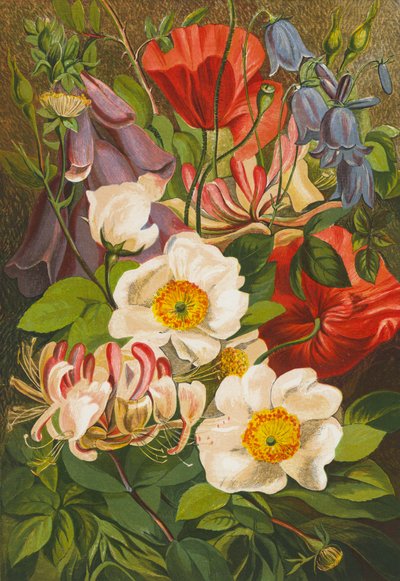 Sommarblommor (färglitografi) av English School
