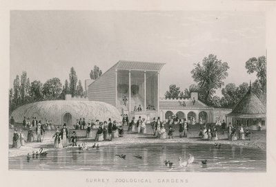 Surrey Zoological Gardens av English School