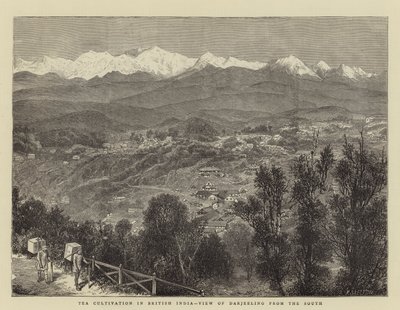 Teodling i Brittiska Indien, utsikt över Darjeeling från söder (gravyr) av English School