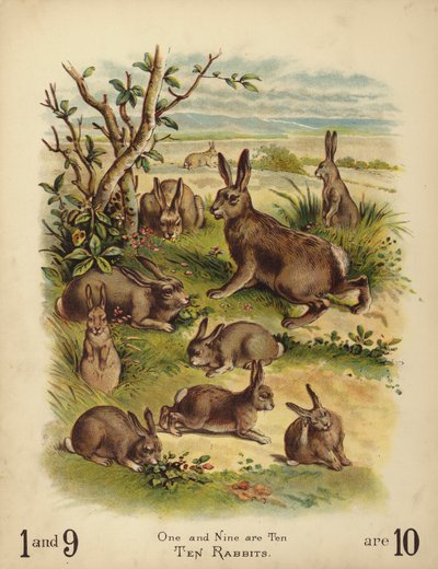 Tio kaniner (chromolitho) av English School