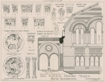 Terrakottadetaljer från det nya Natural History Museum, South Kensington av English School