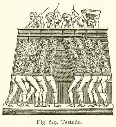 Testudo av English School