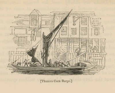 Thames majspråm av English School