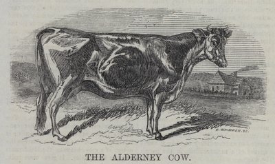 The Alderney Cow (gravyr) av English School