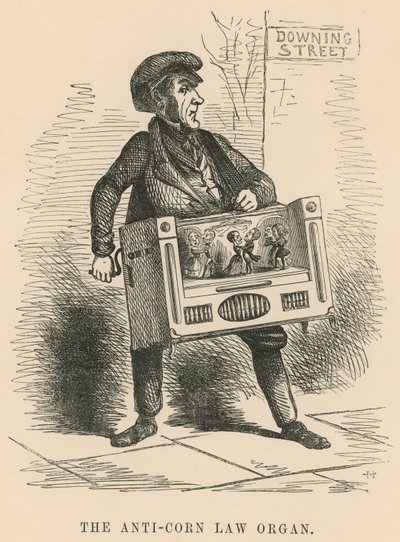 Anticorn Law Organ av English School