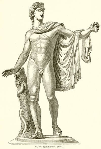 Apollo Belvidere. (Rom) av English School