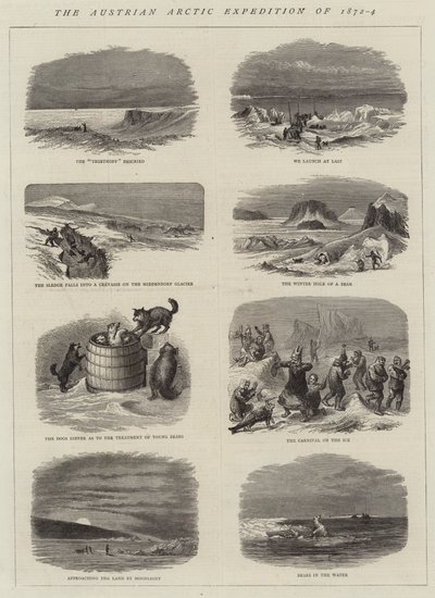 Den österrikiska arktiska expeditionen 1872-4 (gravyr) av English School