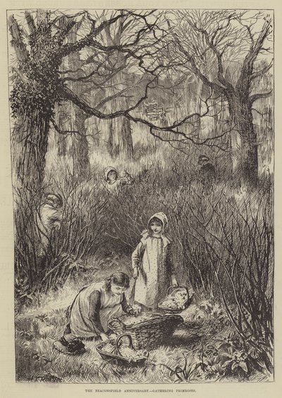 The Beaconsfield Anniversary, insamling av Primroses (gravyr) av English School
