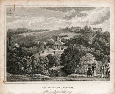 Beulah Spa, Norwood av English School