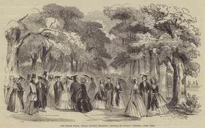 The Broad Walk, Christ Church Meadows, Oxford, på söndagskvällen av English School