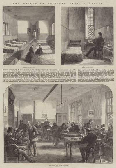 The Broadmoor Criminal Lunatic Asylum (gravyr) av English School
