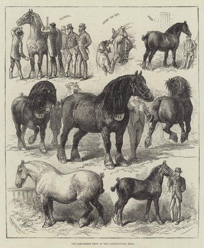 The Cart-Horse Show i Agricultural Hall (gravyr) av English School