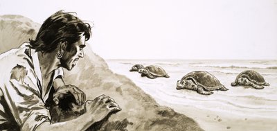 Castaways: Terror of Turtle Island av English School