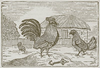 Cock and the Jewel (gravyr) av English School
