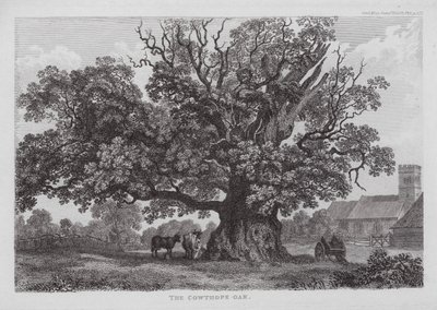 The Cowthope Oak (gravyr) av English School