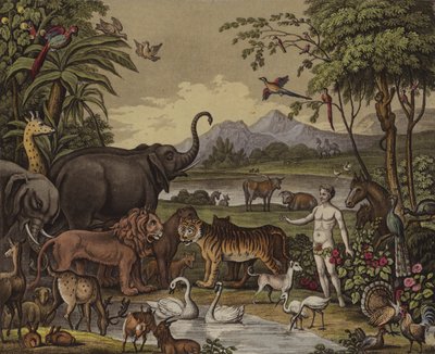 The Creation (färg litho) av English School