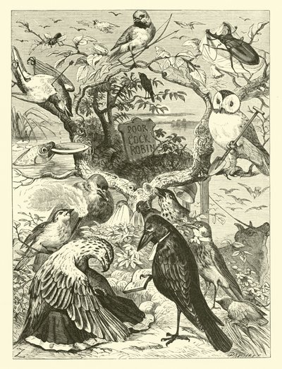 Cock Robins död och begravning av English School