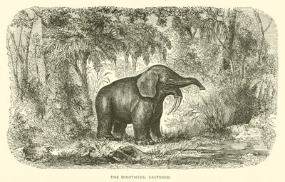 The Dinothere, restaurerad (gravyr) av English School